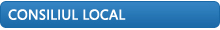 Consiliul Local