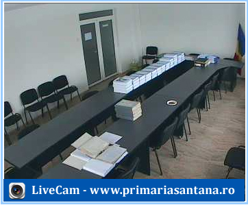 Consiliul Local - Cam2