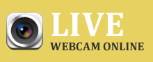 Live WebCam Online